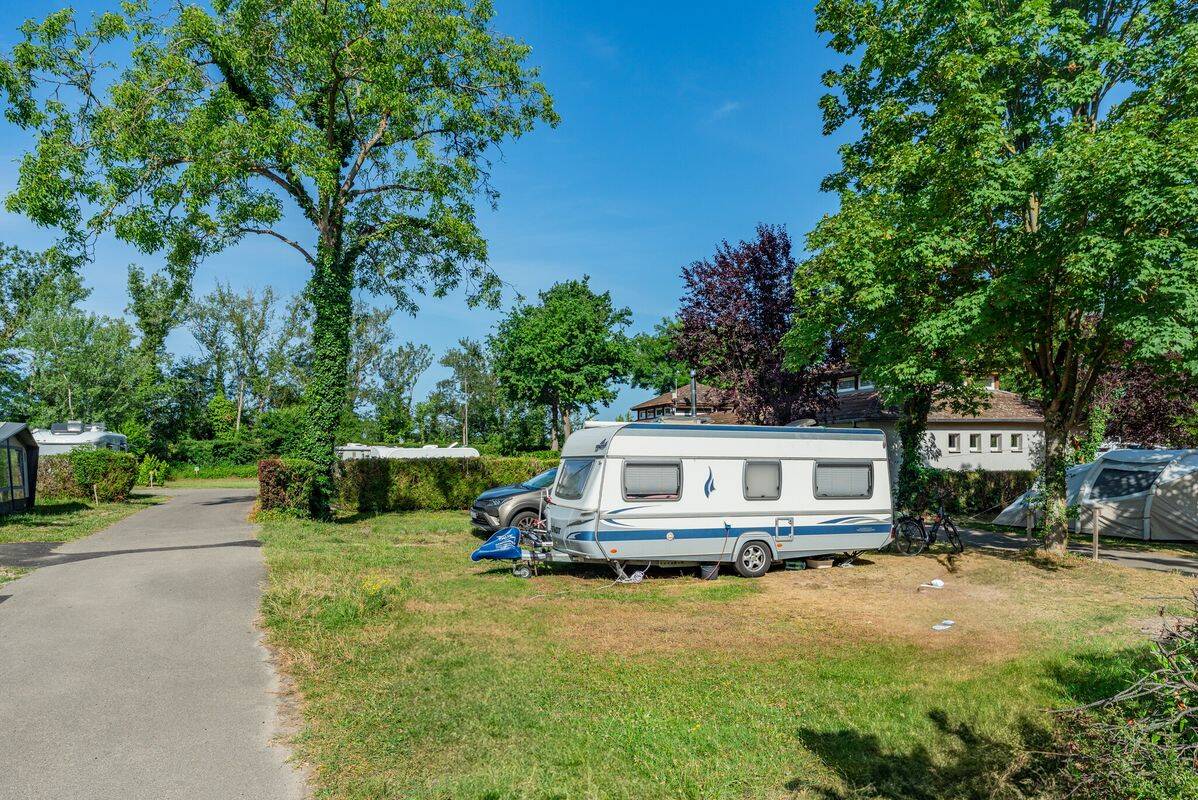 L'Ile du Rhin - 3* - 3