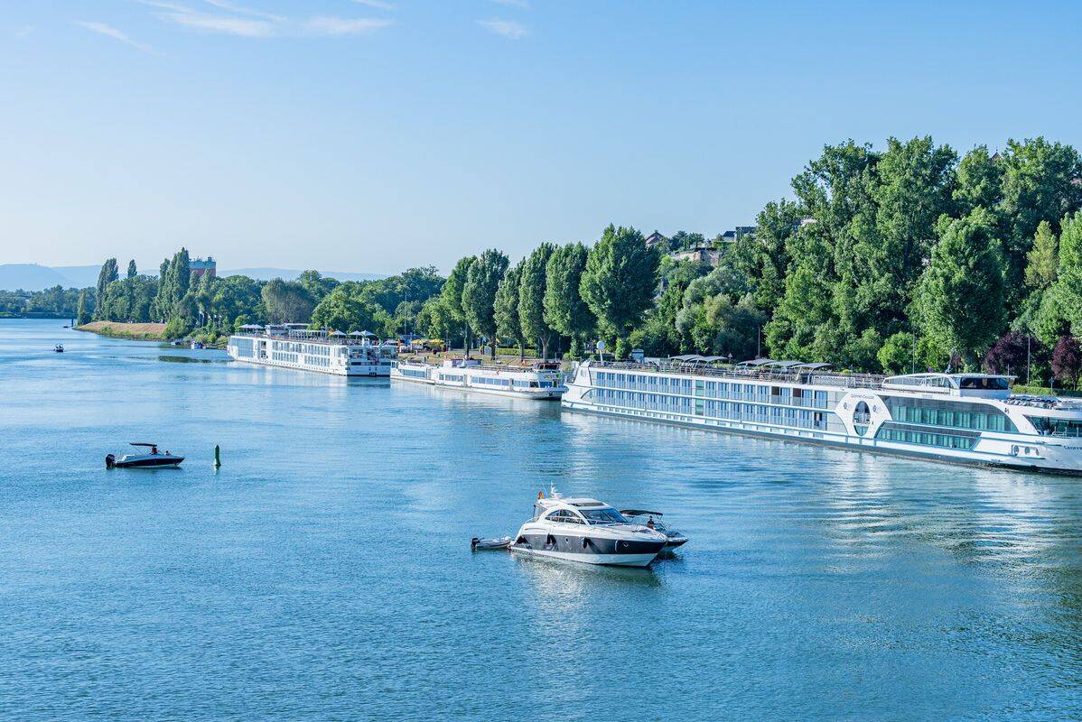 L'Ile du Rhin - 3* - 5