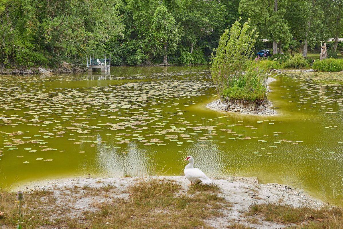 Le Parc des Allais - 3* - 5